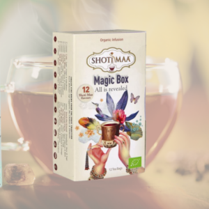 Magic Box — Découverte 12 Tisanes Ayurvédiques Bio · Shoti Maa